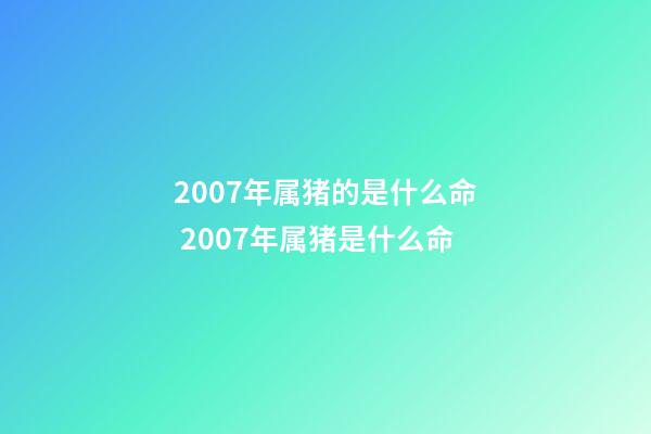 2007年属猪的是什么命 2007年属猪是什么命-第1张-观点-玄机派